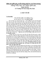 Một số giải pháp bồi dưỡng phụ trách sao trong trường tiểu học đạt hiệu quả cao  