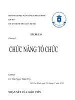 tiểu luận chương 5 chức năng tổ chức 