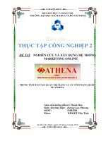 nghiên cứu và xây dựng hệ thống marketing online 
