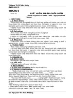 giáo án ngữ văn 9 tổng hợp 11 