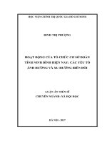 HOẠT ĐỘNG của tổ CHỨC cơ sở đoàn TỈNH NINH BÌNH HIỆN NAY các yếu tố ẢNH HƢỞNG và XU HƢỚNG BIẾN đổi 