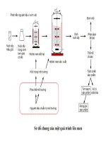 MÔI TRƯỜNG NUÔI cấy TRONG lên MEN CÔNG NGHIỆP 