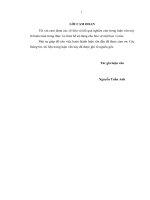 Nghiên cứu cơ sở khoa học và thực tiễn để đề xuất phương án quy hoạch và một số giải pháp bảo tồn đa dạng sinh học tại khu bảo tồn thiên nhiên ngọc linh, tỉnh kon tum 