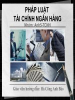pháp luật tài chính ngân hàng thuế tndn 