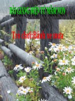 Bài giảng điện tử mầm non đề tài Trò chơi bánh xe mưa (lớp Lá)