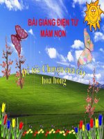 Bài giảng điện tử mầm non đề tài Chuyện của cây hoa hồng (lớp Lá)