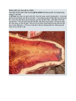 Nhận biết các loại gỗ tự nhiên