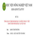 tổng quan về biến đổi khí hậu và những thách   thức kinh tế biến đổi khí hậu tại việt nam 