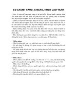 Bài 1  tính thống nhất về chủ đề của văn bản 