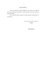 Giải pháp phát triển cây bưởi diễn trên địa bàn huyện chương mỹ, thành phố hà nội 