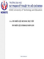 pin nhiên liệu metanol trực tiếp pin nhiên liệu hydrogen đơn giản 