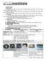 Giáo án tổng hợp sinh học 7 bài 24 