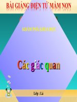 Bài giảng điện tử mầm non đề tài KPKH: Các giác quan (lớp Lá)