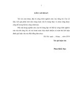 Đánh giá khả năng sinh trưởng một số loài cây bản địa dưới tán rừng tại tỉnh bắc ninh 