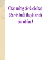 Phân tích các nhân tố môi trường MKT đang ảnh hưởng đến hoạt động kinh doanh bánh mì của công ty cổ phần bánh kẹo kinh đô và xây dựng chương trình MKT cho sản phẩm bánh mì tươi kinh đô 