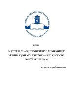 mặt trái của sự tăng trưởng công nghiệp về khía cạnh môi trường và sức khỏe con người ở việt nam 