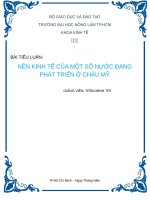 nền kinh tế của một số nước đang phát triển ở châu mỹ 