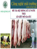 hệ thống xử lý nước thải lò giết mổ gia súc 