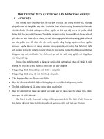 môi trường nuôi cấy trong lên men công nghiệp 