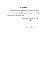 Giải pháp nâng cao hiệu quả quản lý vốn đầu tư xây dựng hạ tầng nông thôn trên địa bàn huyện yên khánh, tỉnh ninh bình 