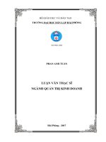 Nâng cao năng lực cạnh tranh của công ty TNHH đan việt   (tt) 