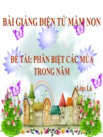 Bài giảng điện tử mầm non đề tài Phân biệt các mùa trong năm (lớp Lá)