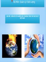 vấn đề về ô nhiễm môi trường trên thế giới và ở việt nam 