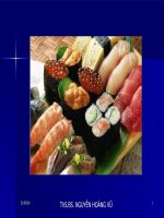 Thực Hành Giải Phẫu trên mô hình DẠ DÀYS 