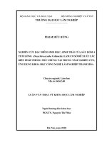 Bước đầu nghiên cứu một số chỉ tiêu kéo của máy kéo DFH   180 khi làm việc trên sườn dốc ngang 