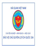 nhiệm vụ và vai trò của hải quan việt nam 