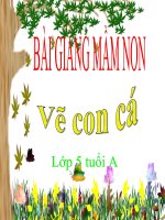 Bài giảng điện tử mầm non đề tài Vẽ con cá (lớp Lá)