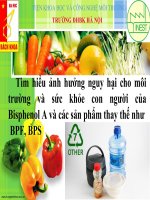 Tìm hiểu ảnh hưởng nguy hại cho môi trường và sức khỏe con người của bisphenol a và các sản phẩm thay thế như   BPF, BPS 