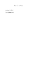 thực hành , vận dụng các lý thuyết, phương pháp, kỹ năng của CTXH về thôn bảo lộc, xã võng xuyên, huyện phúc thọ 