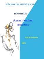 các enzyme sử dụng trong sinh học phân tử 