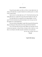 Giải pháp đẩy mạnh áp dụng quản lý rủi ro trong việc thực hiện thủ tục hải quan điện tử đối với hàng hóa xuất nhập khẩu tại cục hải quan thành phố hà nội 