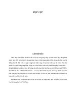 thuế, hệ thống thuế, thực trạng và các giải pháp cho hệ thống thuế của việt nam  