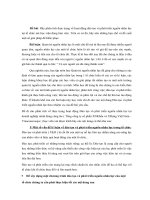 thực trạng hoạt động đào tạo và phát triển nguồn nhân lực tại vinaconex 