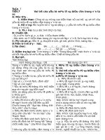 giáo án ngữ văn 8 tự chọn   tuần 7 