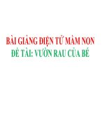 Bài giảng điện tử mầm non đề tài Vườn rau của bé (lớp Lá)