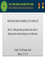 Đánh giá hiệu quả kinh tế sản xuất và hiệu quả sản xuất của trồng trọt và chăn nuôi  