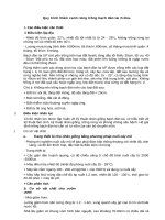 Quy trình thâm canh Bạch đàn lai