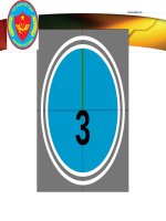 hải quan điện tử việt nam  hạn chế và những giải pháp 