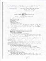 06 mau bao cao thanh tich tap the LDXS 