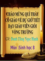BÀI GIẢNG TIM VÀ MẠCH MÁU