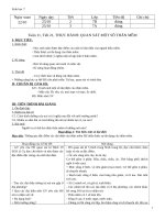 Giáo án tổng hợp sinh học 7 tuần 11 12 