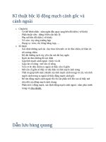 Kĩ thuật bộc lộ động mạch cảnh gốc và cảnh ngoài 