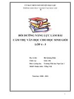 BỒI DƯỠNG NĂNG lực làm bài cảm THỤ văn học CHO học SINH GIỎI lớp 4   5 
