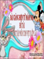 Bài giảng điện tử mầm non đề tài Nhận biết tập nói con vịt (lớp Lá)