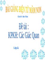 Bài giảng điện tử mầm non đề tài KPKH: Các giác quan (lớp Lá)