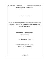 Một số giải pháp nhằm thực hiện thành công chương trình xây dựng nông thôn mới tại huyện sóc sơn, thành phố hà nội 